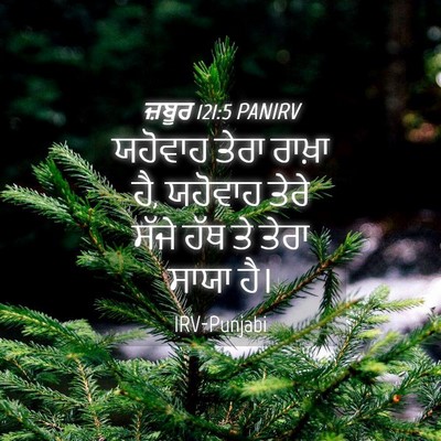 Picture 04 - ਜ਼ਬੂਰ 121:5 PANIRV - ਯਹੋਵਾਹ ਤੇਰਾ ਰਾਖ਼ਾ - Bible Verse Picture