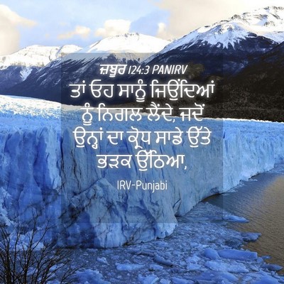 Picture 04 - ਜ਼ਬੂਰ 124:3 PANIRV - ਤਾਂ ਓਹ ਸਾਨੂੰ - Bible Verse Picture