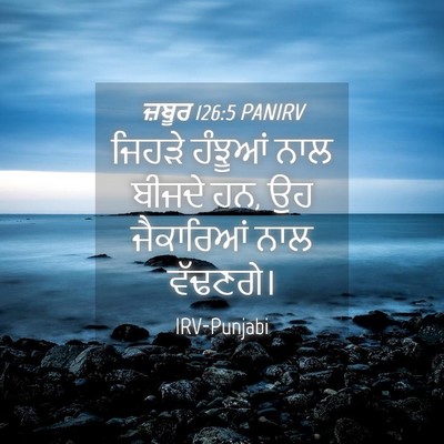 Picture 04 - ਜ਼ਬੂਰ 126:5 PANIRV - ਜਿਹੜੇ ਹੰਝੂਆਂ ਨਾਲ - Bible Verse Picture