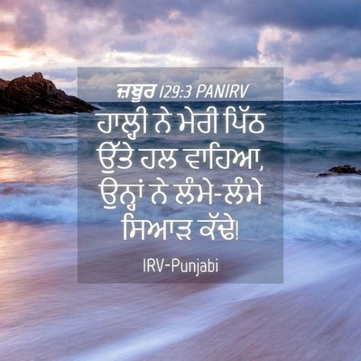 Picture 04 - ਜ਼ਬੂਰ 129:3 PANIRV - ਹਾਲ੍ਹੀ ਨੇ ਮੇਰੀ - Bible Verse Picture