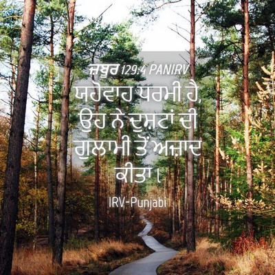Picture 04 - ਜ਼ਬੂਰ 129:4 PANIRV - ਯਹੋਵਾਹ ਧਰਮੀ ਹੈ, ਉਹ - Bible Verse Picture