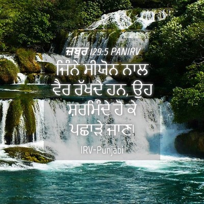 Picture 04 - ਜ਼ਬੂਰ 129:5 PANIRV - ਜਿੰਨੇ ਸੀਯੋਨ ਨਾਲ - Bible Verse Picture