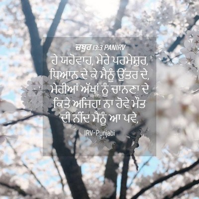 Picture 04 - ਜ਼ਬੂਰ 13:3 PANIRV - ਹੇ ਯਹੋਵਾਹ, ਮੇਰੇ - Bible Verse Picture