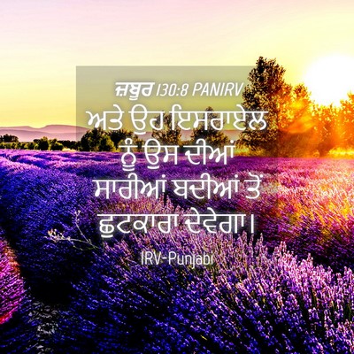 Picture 04 - ਜ਼ਬੂਰ 130:8 PANIRV - ਅਤੇ ਉਹ ਇਸਰਾਏਲ ਨੂੰ - Bible Verse Picture