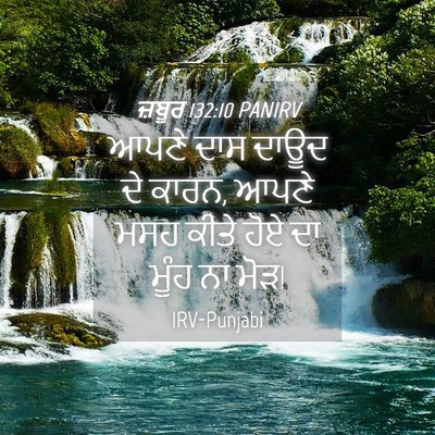 Picture 04 - ਜ਼ਬੂਰ 132:10 PANIRV - ਆਪਣੇ ਦਾਸ ਦਾਊਦ ਦੇ - Bible Verse Picture
