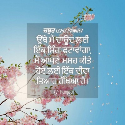 Picture 04 - ਜ਼ਬੂਰ 132:17 PANIRV - ਉੱਥੇ ਮੈਂ ਦਾਊਦ ਲਈ - Bible Verse Picture
