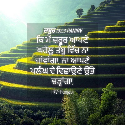 Picture 04 - ਜ਼ਬੂਰ 132:3 PANIRV - ਕਿ ਮੈਂ ਜ਼ਰੂਰ ਆਪਣੇ - Bible Verse Picture