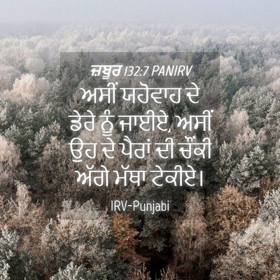Picture 04 - ਜ਼ਬੂਰ 132:7 PANIRV - ਅਸੀਂ ਯਹੋਵਾਹ ਦੇ - Bible Verse Picture