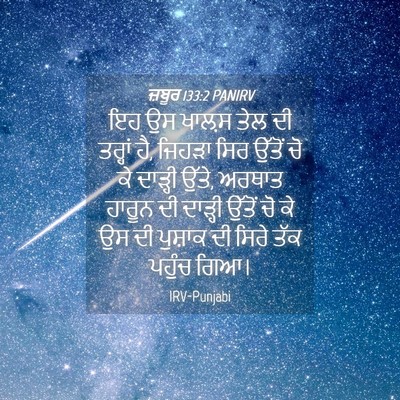 Picture 04 - ਜ਼ਬੂਰ 133:2 PANIRV - ਇਹ ਉਸ ਖਾਲ਼ਸ ਤੇਲ ਦੀ - Bible Verse Picture