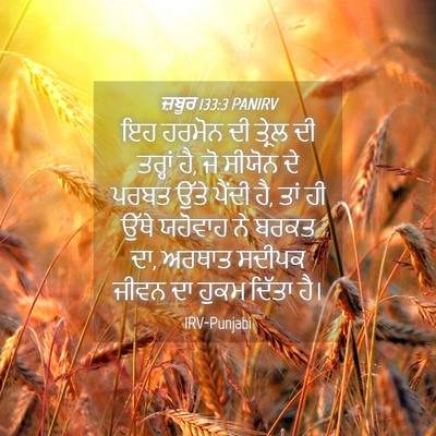 Picture 04 - ਜ਼ਬੂਰ 133:3 PANIRV - ਇਹ ਹਰਮੋਨ ਦੀ ਤ੍ਰੇਲ - Bible Verse Picture