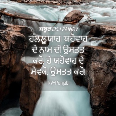 Picture 04 - ਜ਼ਬੂਰ 135:1 PANIRV - ਹਲਲੂਯਾਹ! ਯਹੋਵਾਹ ਦੇ - Bible Verse Picture