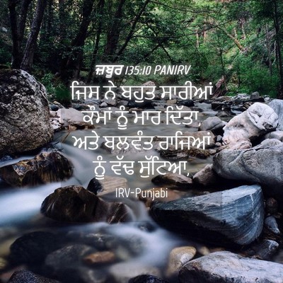 Picture 04 - ਜ਼ਬੂਰ 135:10 PANIRV - ਜਿਸ ਨੇ ਬਹੁਤ ਸਾਰੀਆਂ - Bible Verse Picture