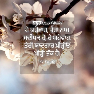 Picture 04 - ਜ਼ਬੂਰ 135:13 PANIRV - ਹੇ ਯਹੋਵਾਹ, ਤੇਰਾ ਨਾਮ - Bible Verse Picture