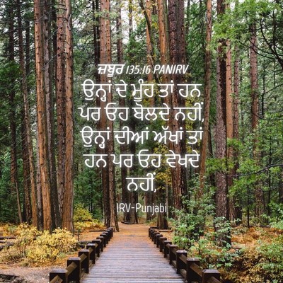 Picture 04 - ਜ਼ਬੂਰ 135:16 PANIRV - ਉਨ੍ਹਾਂ ਦੇ ਮੂੰਹ ਤਾਂ - Bible Verse Picture