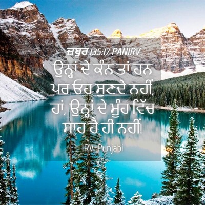 Picture 04 - ਜ਼ਬੂਰ 135:17 PANIRV - ਉਨ੍ਹਾਂ ਦੇ ਕੰਨ ਤਾਂ - Bible Verse Picture