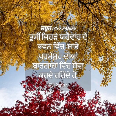 Picture 04 - ਜ਼ਬੂਰ 135:2 PANIRV - ਤੁਸੀਂ ਜਿਹੜੇ - Bible Verse Picture