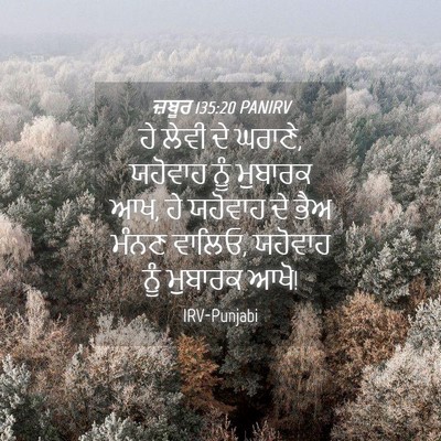 Picture 04 - ਜ਼ਬੂਰ 135:20 PANIRV - ਹੇ ਲੇਵੀ ਦੇ ਘਰਾਣੇ, - Bible Verse Picture