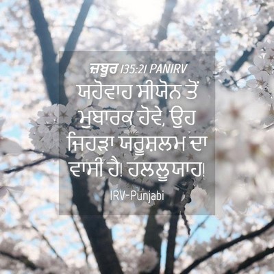 Picture 04 - ਜ਼ਬੂਰ 135:21 PANIRV - ਯਹੋਵਾਹ ਸੀਯੋਨ ਤੋਂ - Bible Verse Picture