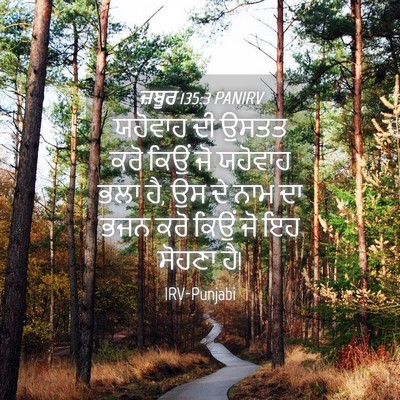 Picture 04 - ਜ਼ਬੂਰ 135:3 PANIRV - ਯਹੋਵਾਹ ਦੀ ਉਸਤਤ ਕਰੋ - Bible Verse Picture