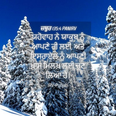 Picture 04 - ਜ਼ਬੂਰ 135:4 PANIRV - ਯਹੋਵਾਹ ਨੇ ਯਾਕੂਬ - Bible Verse Picture