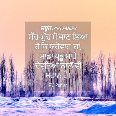 Picture 04 - ਜ਼ਬੂਰ 135:5 PANIRV - ਸੱਚ-ਮੁੱਚ ਮੈਂ ਜਾਣ - Bible Verse Picture
