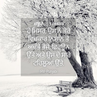 Picture 04 - ਜ਼ਬੂਰ 135:9 PANIRV - ਹੇ ਮਿਸਰ, ਉਸ ਨੇ ਤੇਰੇ - Bible Verse Picture