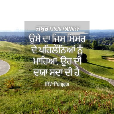 Picture 04 - ਜ਼ਬੂਰ 136:10 PANIRV - ਉਸੇ ਦਾ ਜਿਸ ਮਿਸਰ ਦੇ - Bible Verse Picture