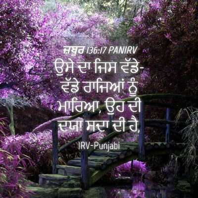 Picture 04 - ਜ਼ਬੂਰ 136:17 PANIRV - ਉਸੇ ਦਾ ਜਿਸ - Bible Verse Picture