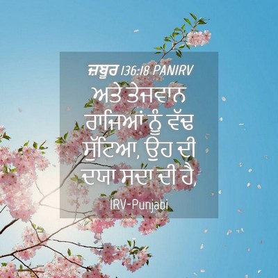 Picture 04 - ਜ਼ਬੂਰ 136:18 PANIRV - ਅਤੇ ਤੇਜਵਾਨ ਰਾਜਿਆਂ - Bible Verse Picture