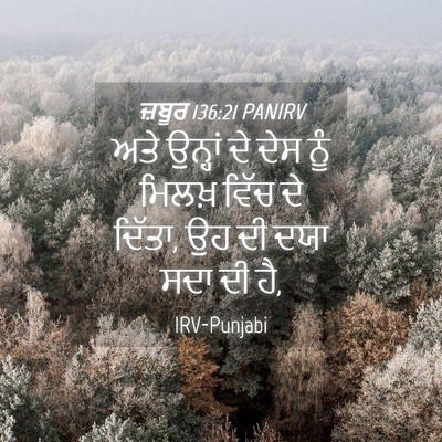 Picture 04 - ਜ਼ਬੂਰ 136:21 PANIRV - ਅਤੇ ਉਨ੍ਹਾਂ ਦੇ ਦੇਸ - Bible Verse Picture