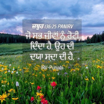 Picture 04 - ਜ਼ਬੂਰ 136:25 PANIRV - ਜੋ ਸਭ ਜੀਵਾਂ ਨੂੰ - Bible Verse Picture