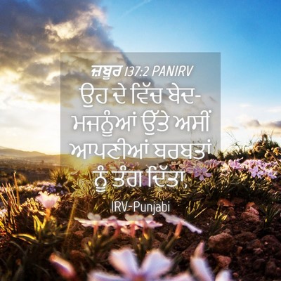 Picture 04 - ਜ਼ਬੂਰ 137:2 PANIRV - ਉਹ ਦੇ ਵਿੱਚ - Bible Verse Picture
