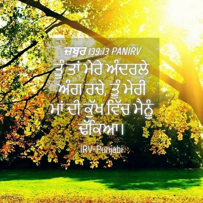 Picture 04 - ਜ਼ਬੂਰ 139:13 PANIRV - ਤੂੰ ਤਾਂ ਮੇਰੇ - Bible Verse Picture