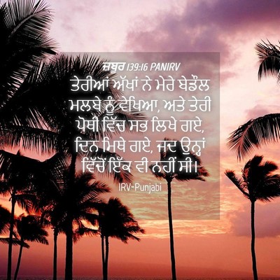 Picture 04 - ਜ਼ਬੂਰ 139:16 PANIRV - ਤੇਰੀਆਂ ਅੱਖਾਂ ਨੇ - Bible Verse Picture