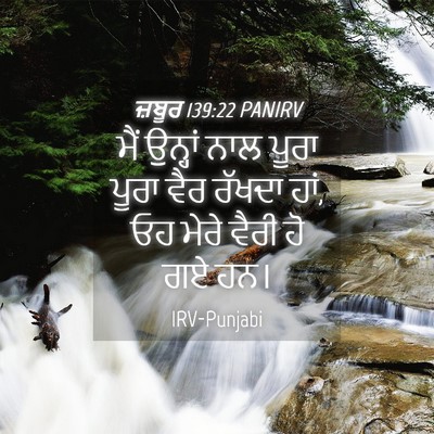 Picture 04 - ਜ਼ਬੂਰ 139:22 PANIRV - ਮੈਂ ਉਨ੍ਹਾਂ ਨਾਲ - Bible Verse Picture