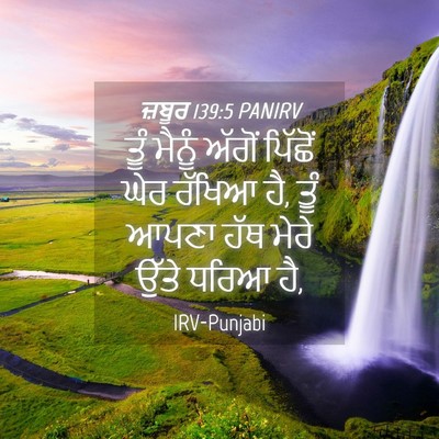 Picture 04 - ਜ਼ਬੂਰ 139:5 PANIRV - ਤੂੰ ਮੈਨੂੰ ਅੱਗੋਂ - Bible Verse Picture