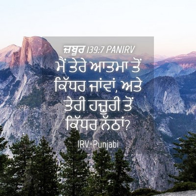 Picture 04 - ਜ਼ਬੂਰ 139:7 PANIRV - ਮੈਂ ਤੇਰੇ ਆਤਮਾ ਤੋਂ - Bible Verse Picture