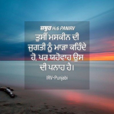 Picture 04 - ਜ਼ਬੂਰ 14:6 PANIRV - ਤੁਸੀਂ ਮਸਕੀਨ ਦੀ - Bible Verse Picture