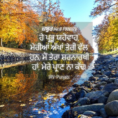 Picture 04 - ਜ਼ਬੂਰ 141:8 PANIRV - ਹੇ ਪ੍ਰਭੂ ਯਹੋਵਾਹ, - Bible Verse Picture