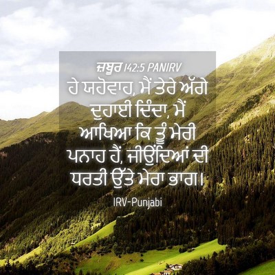 Picture 04 - ਜ਼ਬੂਰ 142:5 PANIRV - ਹੇ ਯਹੋਵਾਹ, ਮੈਂ ਤੇਰੇ - Bible Verse Picture
