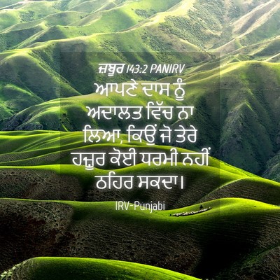 Picture 04 - ਜ਼ਬੂਰ 143:2 PANIRV - ਆਪਣੇ ਦਾਸ ਨੂੰ ਅਦਾਲਤ - Bible Verse Picture