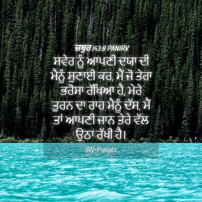 Picture 04 - ਜ਼ਬੂਰ 143:8 PANIRV - ਸਵੇਰ ਨੂੰ ਆਪਣੀ ਦਯਾ - Bible Verse Picture