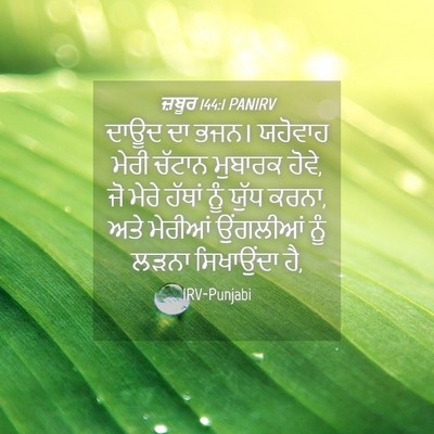 Picture 04 - ਜ਼ਬੂਰ 144:1 PANIRV - ਦਾਊਦ ਦਾ ਭਜਨ। - Bible Verse Picture