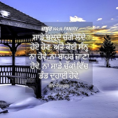 Picture 04 - ਜ਼ਬੂਰ 144:14 PANIRV - ਸਾਡੇ ਬਲ਼ਦ ਚੰਗੇ - Bible Verse Picture