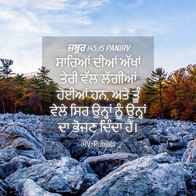 Picture 04 - ਜ਼ਬੂਰ 145:15 PANIRV - ਸਾਰਿਆਂ ਦੀਆਂ ਅੱਖਾਂ - Bible Verse Picture