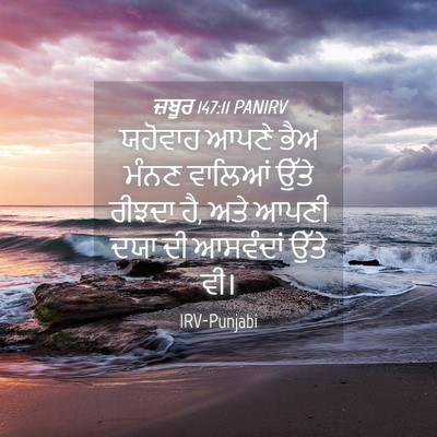 Picture 04 - ਜ਼ਬੂਰ 147:11 PANIRV - ਯਹੋਵਾਹ ਆਪਣੇ ਭੈਅ - Bible Verse Picture