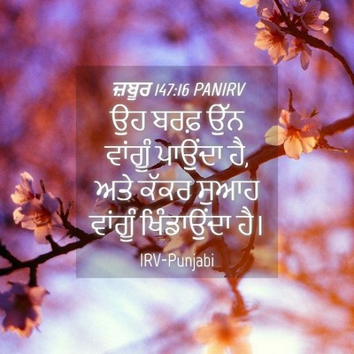 Picture 04 - ਜ਼ਬੂਰ 147:16 PANIRV - ਉਹ ਬਰਫ਼ ਉੱਨ ਵਾਂਗੂੰ - Bible Verse Picture