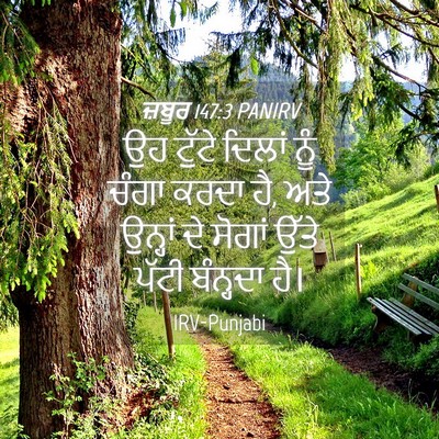 Picture 04 - ਜ਼ਬੂਰ 147:3 PANIRV - ਉਹ ਟੁੱਟੇ ਦਿਲਾਂ ਨੂੰ - Bible Verse Picture