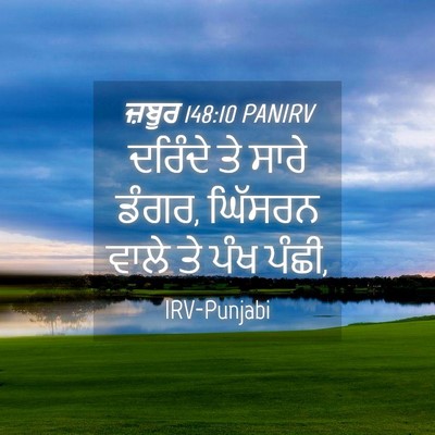 Picture 04 - ਜ਼ਬੂਰ 148:10 PANIRV - ਦਰਿੰਦੇ ਤੇ ਸਾਰੇ - Bible Verse Picture