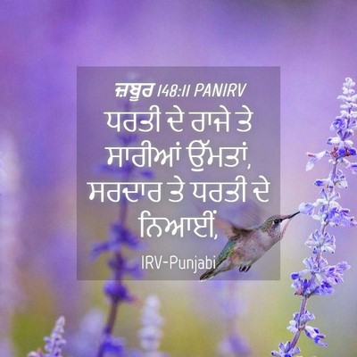Picture 04 - ਜ਼ਬੂਰ 148:11 PANIRV - ਧਰਤੀ ਦੇ ਰਾਜੇ ਤੇ - Bible Verse Picture